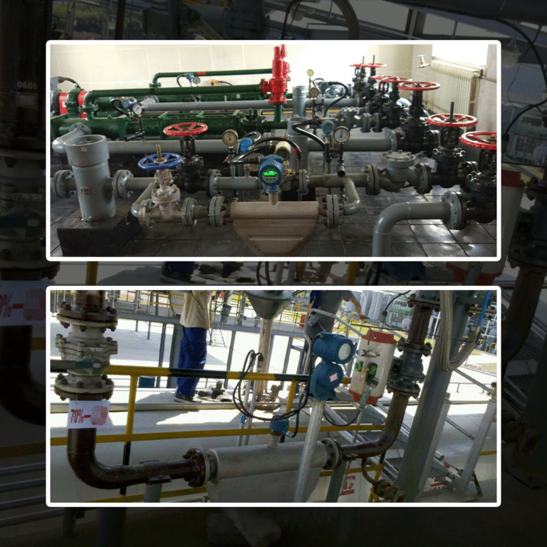 Coriolis Flow Meter